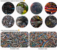 Granulateur de recyclage de fil de cuivre ACCE 0,1-35 mm avec moteur, séparateur haute productivité pour le recyclage de câbles toronnés 0,1-35 mm