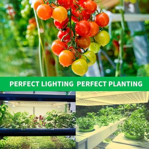 Panel de Luz LED de Espectro Completo de 60W para Cultivo, IP65, Aluminio, Cobertura de 4x4 pies, 2835 LEDs, para Floración/Plántulas, Vida Útil de 50000h - Product Image 6