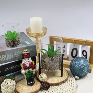 Plantas <span class=keywords><strong>suculentas</strong></span> vivas Sala <span class=keywords><strong>de</strong></span> estar Planta Macetas <span class=keywords><strong>suculentas</strong></span> <span class=keywords><strong>Venta</strong></span> <span class=keywords><strong>al</strong></span> <span class=keywords><strong>por</strong></span> <span class=keywords><strong>mayor</strong></span> <span class=keywords><strong>Venta</strong></span> caliente Mini Macetas para plantas <span class=keywords><strong>suculentas</strong></span> - Product Image 4