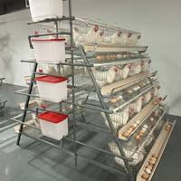Système de cages en batterie galvanisées de type A à longue durée de vie pour l'élevage commercial de poules pondeuses