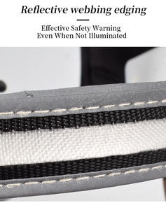 <b>Rechargeable</b> <b>LED</b> <b>Light</b>-Up Dog Harness Night Safety Pet Chest Vest Personalized Adjustable Reflective Multiple Sizes Anti-Lost - Product Image 5