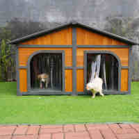 Eenvoudige Montage Metgezel Wonen Dubbele Hondendeur Kennel Metgezel Wonen