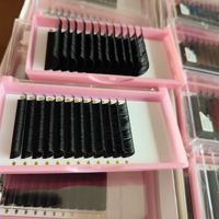 Logo personnalisé C J Curl Coréen Bot Fibre Foncé Fluffy Easy Fan Velours Fond Lash Tray Vendeur Mat Noir Cachemire Extension de Cils