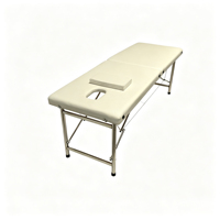 Table de massage professionnelle à 2 sections, pliable, avec pieds en acier inoxydable, lit de spa pour thérapie