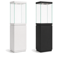 Vitrine autoportante en verre noir et blanc avec éclairage pour bijoux, colliers de diamants, parfums et exposition en magasin de détail