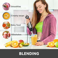Mixeur Plongeant Électrique 5-en-1 avec Hachoir, Moteur en Cuivre Pur pour Cuisine Domestique, Hôtels et Utilisation Extérieure