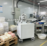 Imprimante à savon entièrement automatique de qualité supérieure, durable, avec système de marquage fiable pour les petites ateliers de fabrication de savon