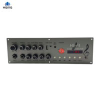 Module amplificateur numérique de classe D OEM 250W monocanal 4 ohms avec télécommande et écran pour audio 5.0
