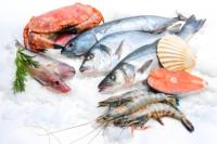 Machine à glace en flocons 5T/jour pour la présentation sur les marchés de poissons et la chaîne du froid des fruits de mer frais
