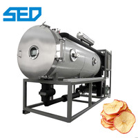 Industriële machine voor vacuümfreeze-drogen van fruit met hoge productiviteit