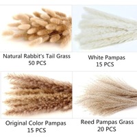 Bouquet de fleurs séchées avec graines d'herbe de la pampa et queue de lapin 100 PCS pour décoration de table de maison de mariage Noël et remise des diplômes-Style Boho