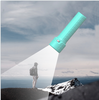 Mini lampe de poche Led multifonction portable lampe de poche rechargeable torche étanche