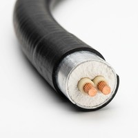 Câble électrique flexible isolé minéral résistant au feu BBTRZ en cuivre à 2 conducteurs avec gaine LSOH, alimentation industrielle IEC 0,6/1 kV