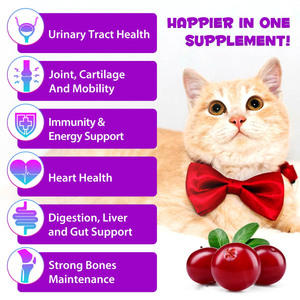 Suplemento Líquido Multivitamínico 15 en 1 OEM/ODM <span class=keywords><strong>para</strong></span> <span class=keywords><strong>Perros</strong></span> y Gatos, Apoya la Salud Urinaria, el Sistema Inmunológico, la Piel, el Pelaje y el Cuidado del Corazón, 150g - Product Image 2
