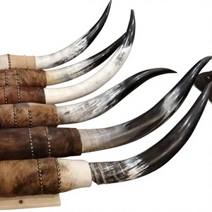 Cuerno de Bebedero Texas Longhorn, Decoración Rústica Europea para Pared, Material Orgánico Pulido, Estilo Religioso Animal, Tamaño Personalizado - Product Image 1