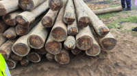 Meilleures ventes 2026 : Bois africain de haute qualité (1,5 x 8 m) pour applications de haute pression et sous vide – Merbau, Tali, Bati, Greenheart, Red Ironwood, Okan