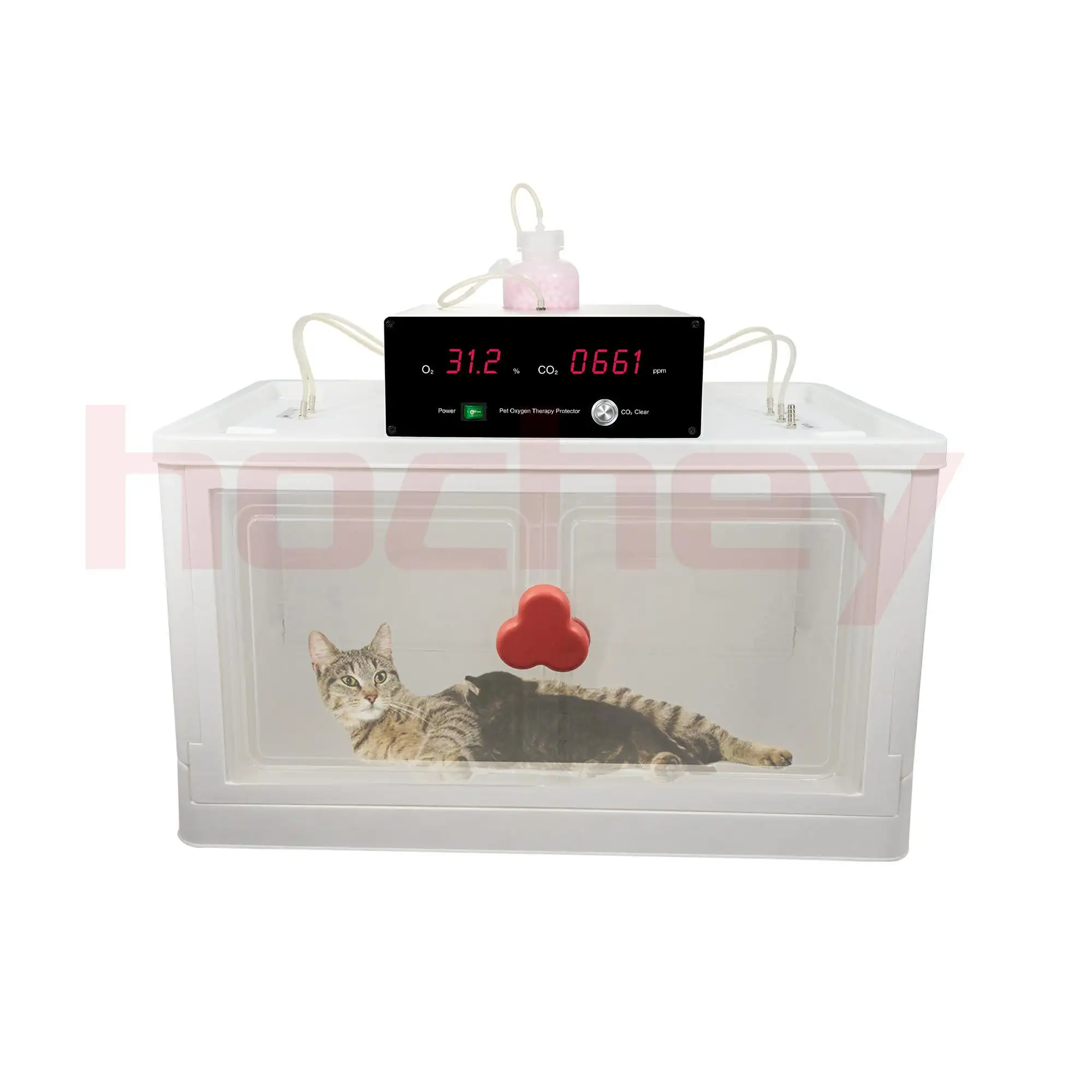 MT MEDICALFactory price Pet Dog Cat Animal Oxygen ICU Cage oxygen monitor Kitten Puppy Incubator with Nebulization Oxygen