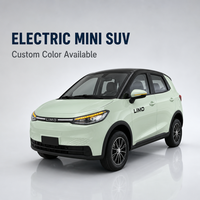 SUV Électrique Compact Personnalisable avec Entrée NFC, Audio Bluetooth, Prix de Gros Direct Usine