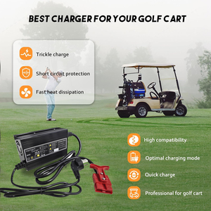 Sạc pin <span class=keywords><strong>Lithium</strong></span> <span class=keywords><strong>Ion</strong></span> LiFePO4, ắc quy axit chì tự động 240AH, 20A 15A 40A, 12V 24V - Product Image 5