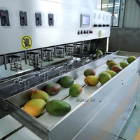 Xinlongjia 16-Station Fruitschiller Machine Verwijdert Efficiënt De Schil Van Mango Appelpeer Taro Papaja Citroen Ander Fruit