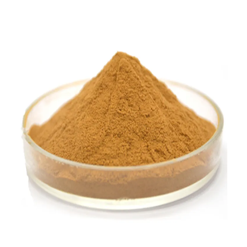 Organic Nutmeg Extract powder food grade 10:1 30:1 Nutmeg seed Extract