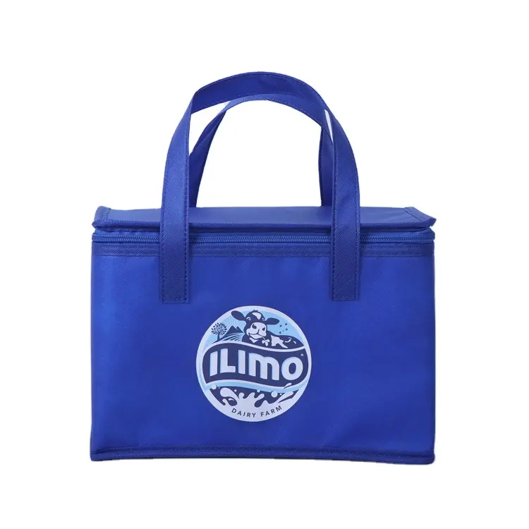 Bolsas de plástico transparente con logotipo personalizado Paquete de almacenamiento de hielo de PVC, bolsa de hielo fresco aislamiento refrigerador bolso entrega de alimentos/