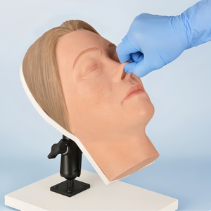 Modèle d'entraînement en silicone de tête humaine pour injections chirurgicales et cosmétiques avec nerfs faciaux et vaisseaux sanguins simulés - Product Image 6