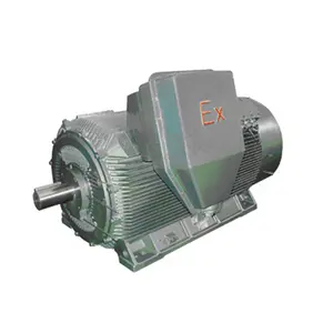 YB2 Series High-voltage Explosion-proof Motor