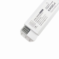 Panel de Luz LED con Batería Externa, Convertidor de Emergencia 220-240VAC 3W 20-200VDC 12-150mA CB CE SAA para Hotel, Centro Comercial, Escuela, Comercio Minorista, Clínica