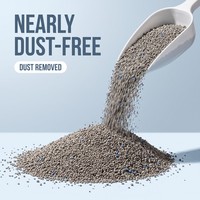 Litière pour chat en bentonite concassée, granulés absorbants rapidement l'humidité, agglomération instantanée, anti-fuite, sable pour toilettes pour chats domestiques