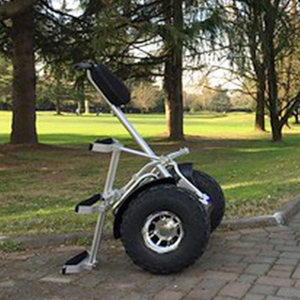 3200W 19 Inch Thông Minh Thông Minh Tự Cân Bằng Động Cơ Chariot Golf Scooter Xe Golf Điện - Product Image 6