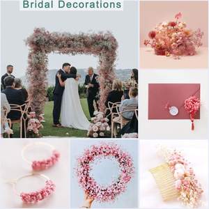 120g 400g bébé souffle fleur fleurs séchées pour la décoration gypsophile <span class=keywords><strong>toujours</strong></span> vivant fleur bébé souffle séché gypsophile coloré - Product Image 5