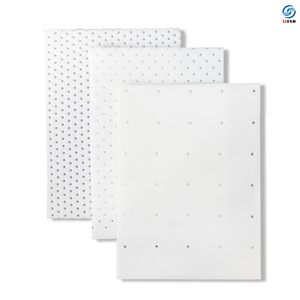 Plaque thermoplastique blanche LISA de type P, 600x900mm, perforée, en plastique médical pour orthèses - Product Image 3