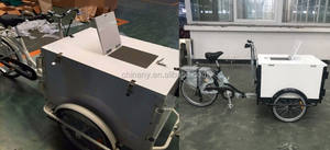 Tricycle à 3 roues <span class=keywords><strong>Cargo</strong></span> Bike Chargeur de glace <span class=keywords><strong>non</strong></span> électrique avec une capacité de chargement de 150kg - Product Image 5