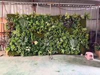 Dinding Tanaman Rumput Buatan Hijau untuk Dekorasi Toko Terkenal di Internet, Latar Belakang Bunga