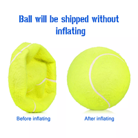 Ballon de tennis gonflable géant en caoutchouc de 24 cm (9,5 po) pour animaux de compagnie, jouet interactif de sport pour chien, avec pompe