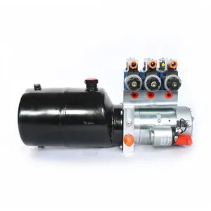 12v dc double acting 3-manifold electric hydraulic power pack and cylinder for lift