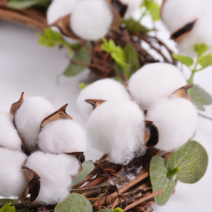 Decorazione della casa singola di Cotone testa di fiore naturale fiori secchi fai da te fatti a mano di elaborazione di simulazione personalizzato fiori di cotone - Product Image 3