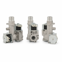 Pièces de chauffe-eau à gaz : Vanne de régulation de gaz en aluminium à température constante, double solénoïde, personnalisable OEM pour usage automobile et extérieur