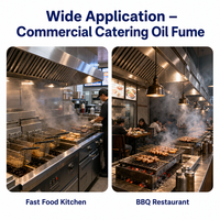 Précipitateur électrostatique commercial haute efficacité 6 000 CMH pour l'élimination des gaz et des fumées d'huile dans les cuisines de restaurants
