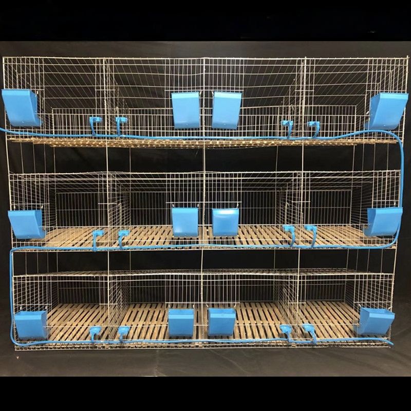 Juego de zócalos de bambú plateado de 12 posiciones.