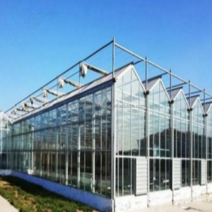 <span class=keywords><strong>Serre</strong></span> <span class=keywords><strong>en</strong></span> <span class=keywords><strong>verre</strong></span> moderne Venlo, prix abordable pour les plantes, tomates, concombres, belle et robuste avec une haute résistance au vent. - Product Image 3