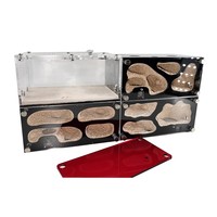 Kit Fourmilière en Béton avec Contrôle de Température et Abreuvoir pour Fourmis – Idéal pour l'Éducation et les Loisirs