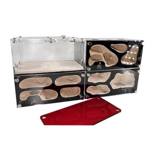 Bộ tổ kiến với bộ phận uống nước, điều khiển nhiệt độ, tổ kiến bê tông, mở rộng vô hạn, nhà côn trùng, bộ dụng cụ kiến, phụ kiện - Product Image 2