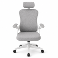 Silla Ergonómica de Malla para Computadora, para Estudiantes de Secundaria, Oficina en Casa, Giratoria, Altura Ajustable, para Sala de Estar, Hotel, Comercial