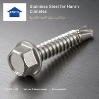 Stainless Steel Hex Washer Head Self Drilling Screw Passivated Sealing Washer Fastener for Sheet Metal