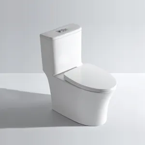 Vitreous china floor mounted toilet water closet