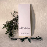 Kit de rouge à lèvres et crayon à lèvres pigmentés minéraux végétaliens 2 en 1 de haute qualité, finition mate à la mode, brillant à lèvres personnalisé à la vitamine C 5g