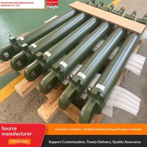 Vérin hydraulique bidirectionnel résistant aux hautes températures, type presse à double oreille, <span class=keywords><strong>200</strong></span> tonnes, type à bride avant, pour applications industrielles lourdes - Product Image 5