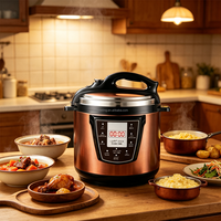 Autocuiseur Électrique OEM ODM avec Logo Personnalisé, Multifonction, pour la Maison, Appareil de Cuisine